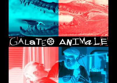 GALATEO ANIMALE