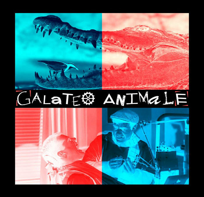 GALATEO ANIMALE